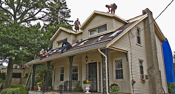 Best Storm Damage Roof Repair  in Columbia, MO